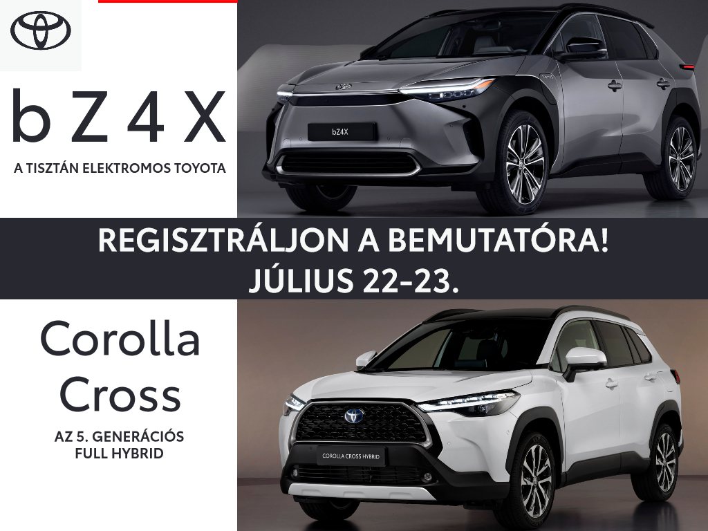 IDEI TOYOTA 6